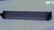 Ladeluftkühler MKB D19AA LIM BJ 08 1362079J51 Suzuki SX4 Bj 2009