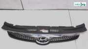 Kühlergrill M.chromleiste FD '08 Kühlergrill I30 Kombi '08 Hyundai I 30 Bj 2009