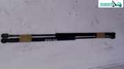 Gasdruckfeder LR Satz Kombi 13101835 Opel Vectra Bj 2005
