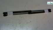 Gasdruckfeder Vo.l/r Satz 46784590 Stilo 192 '04 46784590 Fiat Stilo Bj 2004