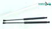 Gasdruckfeder Satz LR 46827091 Fiat Panda Bj 2004
