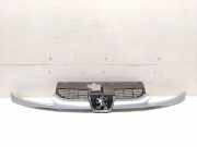Peugeot 206CC Cabrio original Kühlergrill EZR Aluminiumgrau BJ2001