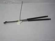 Kia Carnival 2 GQ Satz Gasdruckdämpfer Gasdruckzylinder Heckklappe BJ2004