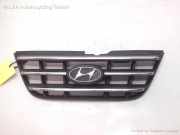 Hyundai Atos MXI Grill Kühlergrill 9636005610 mit Emblem BJ2005
