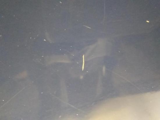 VW Touran 1T original Tür hinten rechts Indienblau LL5M Bj.2004 Bild VW Touran 1T original Tür hinten rechts Indienblau LL5M Bj.2004 