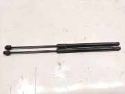 Skoda Rapid NH Spaceback original Satz Gasdruckzylinder Heckklappe BJ2017