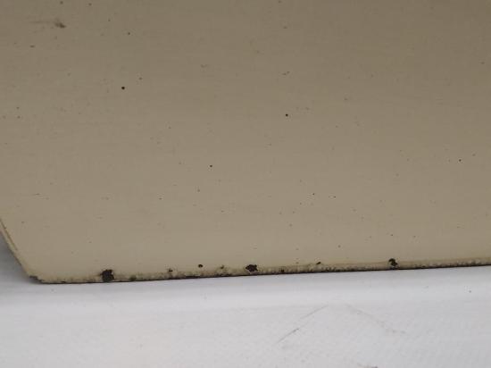 Opel Zafira B original Tür hinten links Y611 Hellelfenbein BJ2007 Bild Opel Zafira B original Tür hinten links Y611 Hellelfenbein BJ2007