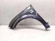 Renault Grand Scenic 2 JM orig Kotflügel vorn links B66 Graphitschwarz BJ2006