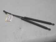 Renault Scenic original Satz Gasdruckdämpfer ausstellbare Heckscheibe 