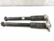 Tesla Model Y RWD original Satz Stoßdämpfer Hinterachse 128846400A BJ2023