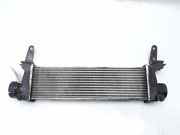 Mercedes Vaneo 414 Ladeluftkühler 1685000000 1.7CDI 67kw BJ2002