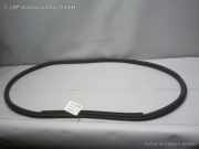 Audi A3 8P Sportback original Türgummi Türdichtung hinten links BJ2005