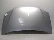 Fiat Idea Bj.2004 original Motorhaube 