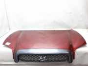 Hyundai Santa Fe Bj.2001 original Motorhaube Deckel Klappe vorn