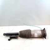 Tesla Model S Facelift original Luftfederbein Hinterachse rechts Bj.2019