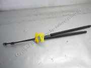 Mercedes Benz W211 S211 BJ2003 Satz Gasdruckzylinder Motorhaube 2118800029