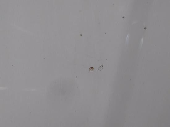 Chevrolet Aveo T250 original Motorhaube Bj.2009 Bild Chevrolet Aveo T250 original Motorhaube Bj.2009