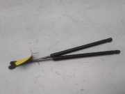 Mazda 2 DE Bj2009 original Satz Gasdruckzylinder Heckklappe