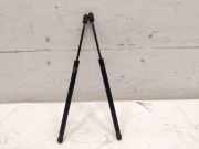 Tesla Model S original Satz Gasdruckdämpfer Motorhaube BJ2014