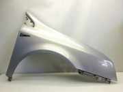 Renault Vel Satis Kotflügel vorn rechts TEA19 BEIGE ANGORA BJ2002