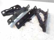 Tesla Model S original Satz Motorhaubenscharniere links und rechts BJ2014