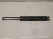 Ford Transit Tourneo Connect original Satz Gasdruckzylinder Heckklappe Bj.2020 
