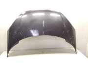 Peugeot 807 original Motorhaube dunkelgraumetallic EYJ astergraumetallic Bj.2008