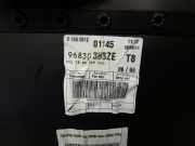 Peugeot 5008 BJ2011 Türverkleidung Tür vorn links 96830383ZE