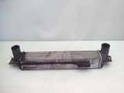 Opel Antara Bj.2007 original Ladeluftkühler 2.0CDTI 110kw 