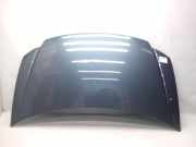 Chrysler Voyager RG BJ2002 original Motorhaube Klappe Deckel vorn 