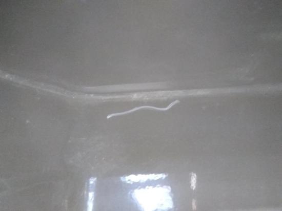 Opel Vectra C original Heckklappe mit Heckscheibe Z20R-Saphirschwarz Kombi Bj.2006 Bild Opel Vectra C original Heckklappe mit Heckscheibe Z20R-Saphirschwarz Kombi Bj.2006 