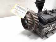 Audi A4 B5 Zylinderkopf links 2.5TDI 110kw AFB 24041km