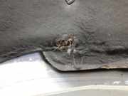 Seat Toledo 1M original Motorhaube satinsilber LB7Z Bj.2000