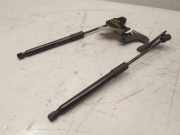 Tesla Model 3 original Satz Gasdruckdämpfer Motorhaube 1645989-00-A BJ2019