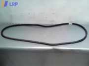 VW Golf 5 original Türdichtung Türgummi vorn rechts Beifahrertür 1K4867912B 2003