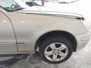 Mercedes E-Klasse 211 orig Alu Kotflügel vorn rechts C744 brillantsilber BJ2004