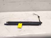 Tesla Model Y original Satz Gasdruckzylinder Heckklappe mit Antrieb BJ2023