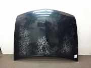 Renault Vel Satis Motorhaube Klappe Deckel vorn BJ2003