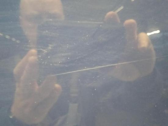 VW Touran 1T original Tür hinten rechts Indienblau LL5M Bj.2004 Bild VW Touran 1T original Tür hinten rechts Indienblau LL5M Bj.2004 