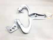 Tesla Model Y original Satz Scharniere Motorhaube unfallfrei für Dualmotor