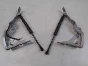 BMW 6er E63 E64 original Satz Motorhaubenscharniere unfallfrei Bj.2006