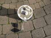 Krafstoffgeber MIT Pumpe Mazda 2 2 1.3 ZJ381335XB