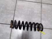 Hinterfeder Feder hinten BMW X 1 X1 xDrive20i