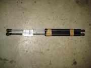 Gasdruckdämpfer-satz Renault Twingo Twingo 1.2