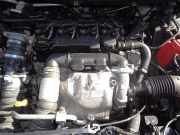 Motor - Hhjd, Hhjc, Hhje - 1.6TDCI - 188.284km Ford Fiesta Fiesta 1.6 Tdci Njoy