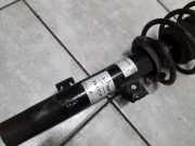 Federbein Stossd?mpfer rechts BMW 1er 118d DPF Active