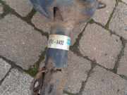 Federbein Vorderachse - 6N VW Polo Polo 60