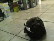 Lichtmaschine - 90A Mercedes-benz CLK CLK Cabrio 230 Kompressor Highline A0101545402