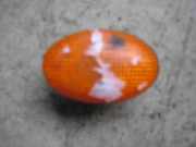 Blinker Seitlich Ford Mondeo Mondeo XLi