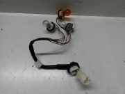 Lampenträger Heckleuchte rechts SUZUKI SWIFT IV NZ 1.2 DJ 5DR GLX 66 KW